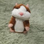 Talking Hamster Toy photo review