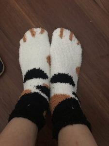 Cute Cat Claw Socks photo review