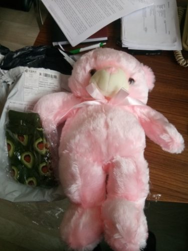 Adorable Light Up Teddy Bear photo review