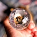 Lens Ball Photography photo review