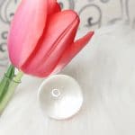 Lens Ball Photography photo review