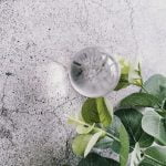 Lens Ball Photography photo review