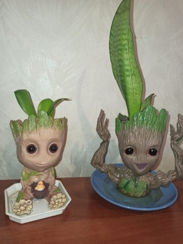 Baby Groot Flowerpot photo review