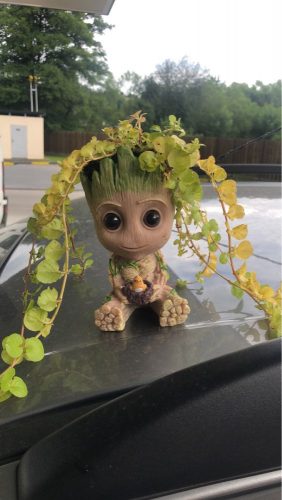 Baby Groot Flowerpot photo review