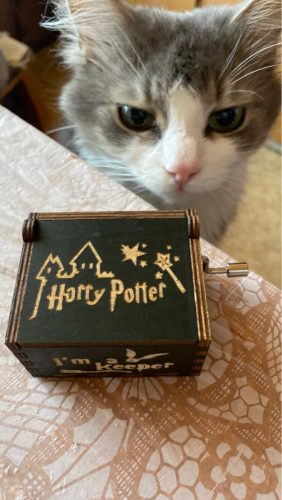 Premium Wooden Music Box photo review