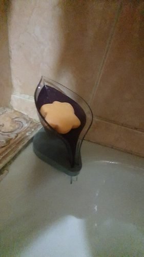 The Leaf Soap Holder photo review