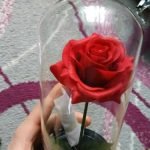 Enchanted Rose Flower Lamp photo review