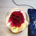 Enchanted Rose Flower Lamp photo review