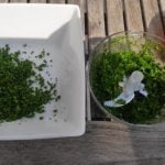 Handy Mini Food Chopper photo review