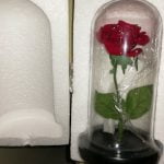 Enchanted Rose Flower Lamp photo review