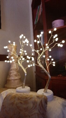 The Fairy Light Spirit Tree photo review