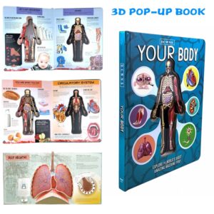 Människokroppens anatomi 3D-bilderbok