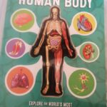 Anatomy of The Human Body 3D Picture Book photo review