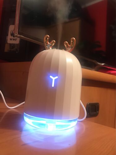 Revue de photos de l'humidificateur USB Cartoon Deer Rabbit Humidifier