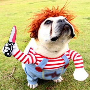 Chucky Dog Costume