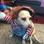 Chucky Dog Costume photo review