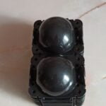 Plant Root Growing Box 10pcs photo review
