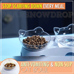 Anti-Vomiting Elevated Cat Bowl 11