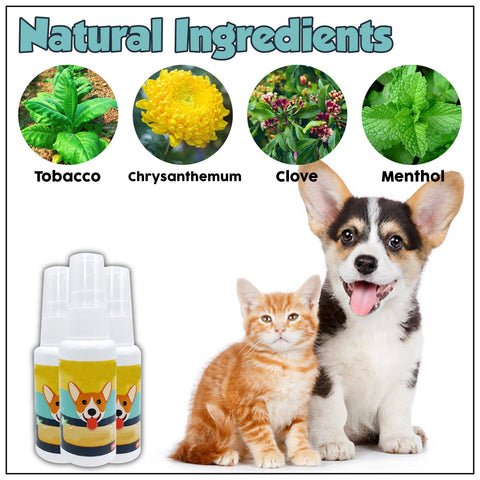 House Training Pet Spray 12