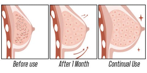 Perky Breast Plumping Essential Oil 6
