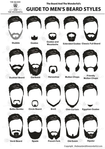 Beardoholic Natural Growth Beard Oil 12